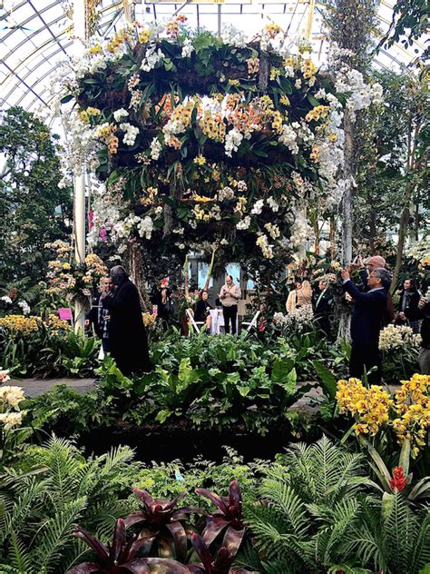 The New York Botanical Garden Orchid Show - Quintessence