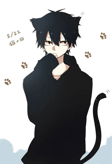 He is in fact Shintaro... As a neko... Anime Neko, Anime Cat Boy, Boy Cat, Anime Kawaii, Anime ...