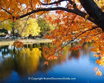 Boston Fall Foliage 2024 - 11 Best Places to See It - Boston Discovery ...