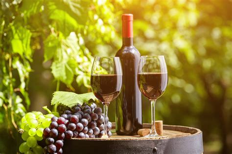 9 essential facts about Italian wine - Vincarta