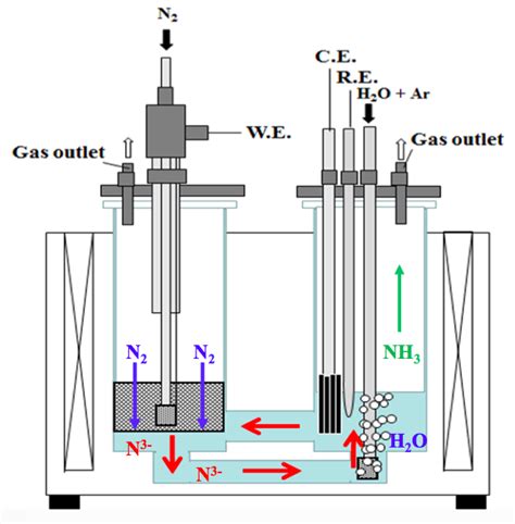 Electrochemical Ammonia Synthesis