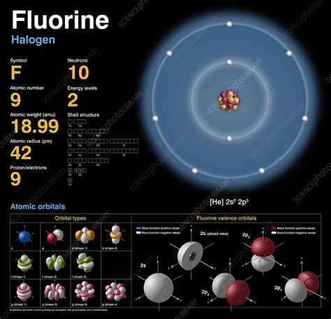 Fluorine Periodic Table Atomic Mass | Cabinets Matttroy