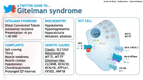 Gitelman Syndrome – Jeroen de Baaij