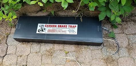 Amazon.com : Snake Trap Large, (Foldable, Reusable 32"x10"x 3") with (1 ...