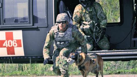 Special Operations dogs set for new advanced tactical gear | Fox News