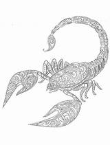 Scorpion coloring pages For Adults sketch template