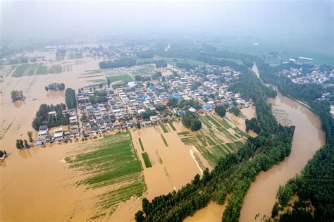 Crop damage limited in Henan flooding - Chinadaily.com.cn