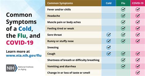 Flu B Symptoms 2024