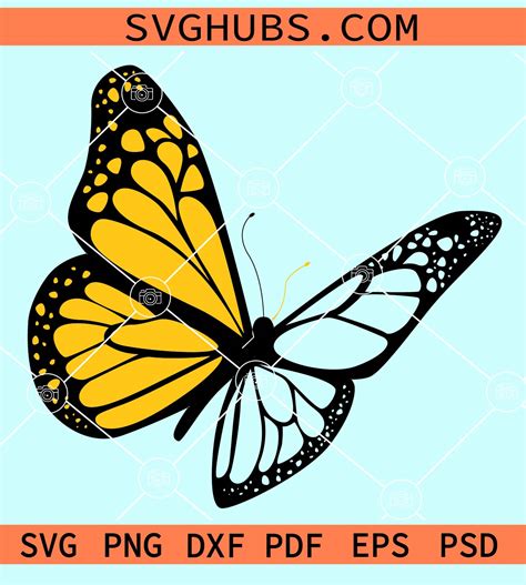 Butterfly Line Pollinator Insect Clipart Butterfly Cl - vrogue.co