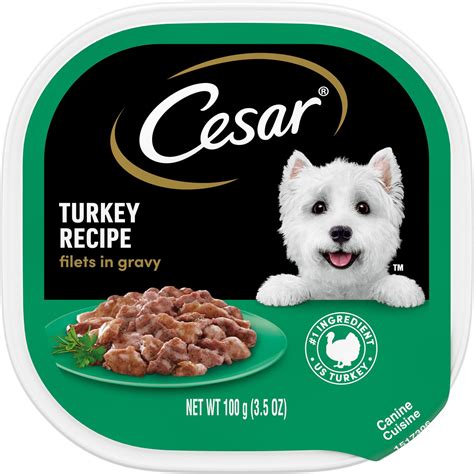 CESAR Turkey Recipe Filets in Gravy Wet Dog Food Trays, 3.5-oz, case of 24 - Chewy.com