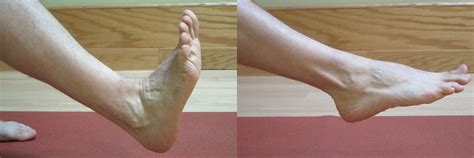 Ankle Range Of Motion Exercises