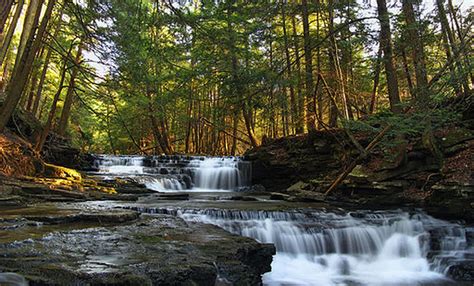 7 State Parks For Hiking in Pennsylvania