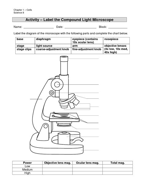 Microscope Worksheet – Kidsworksheetfun