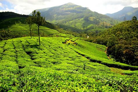 Gavi, Kerala | Tourist Places, Homestay, Images, Hotels