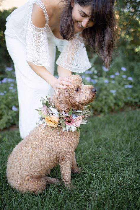 DIY: Floral Dog Collar — Bloom Culture Flowers | A New Way To DIY