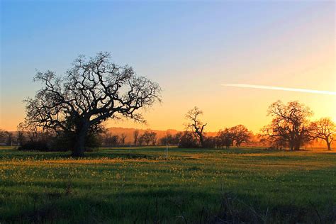 Meadow at Sunset Photograph by Selena La Rue - Pixels