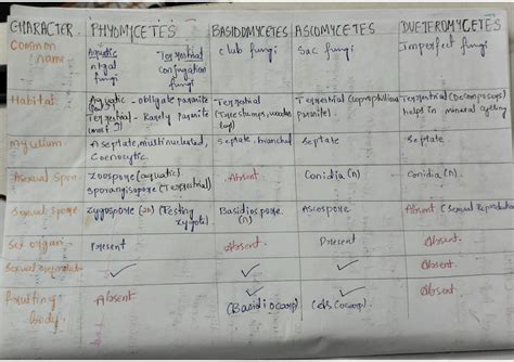 Biological Classification Cheatsheets - vrogue.co