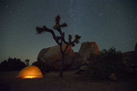 How to Plan a Joshua Tree Stargazing Trip in 2024