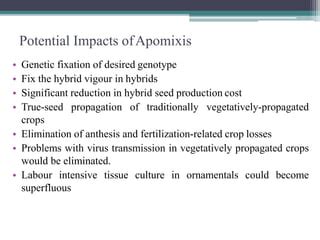 Apomixis | PPT