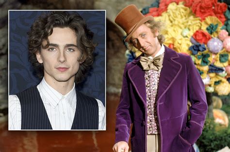 Willy Wonka Timothee Chalamet Facts - Image to u