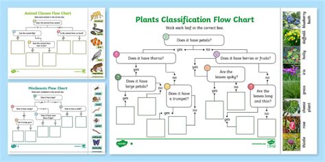 Living Things Classification Year 6 Pack (teacher made)