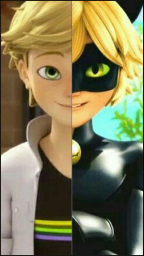 Cual prefieres? Adrien o Chatnoir | Miraculous ladybug memes, Miraculous ladybug wallpaper ...