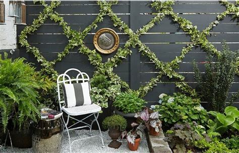 Climbing Plants - Design Trend | ModularWalls | Diy garden trellis, Garden trellis, Yard ideas ...