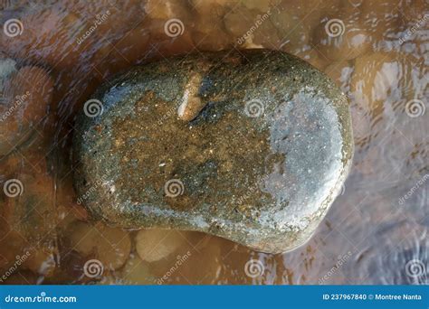 Andesite Extrusive Volcanic Rocks in the Nature. Stock Photo - Image of closeup, name: 237967840