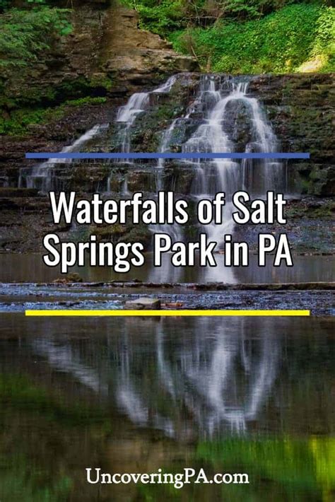 How to Get to the Waterfalls at Salt Springs State Park - Uncovering PA