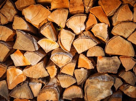 How Long to Dry Firewood: A Beginner's Guide - Timber Gadgets