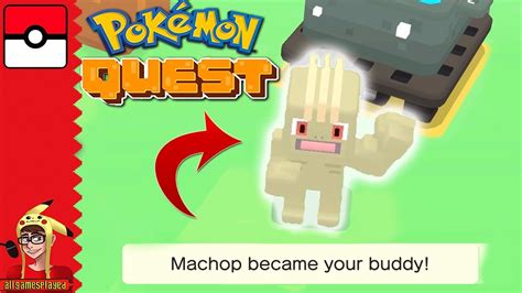 SUPER RARE SHINY MACHOP EVOLUTION - Pokemon Quest - YouTube