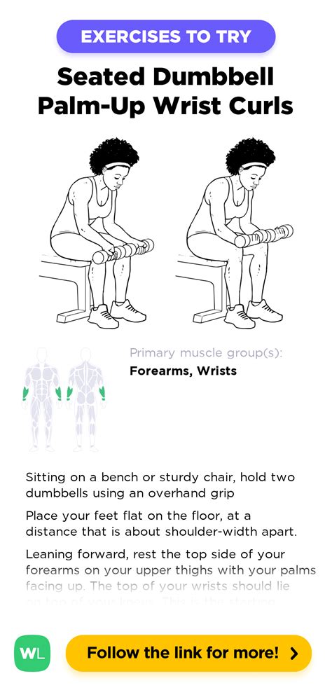 Seated Dumbbell Palm-Up Wrist Curls / Forearm Curls – WorkoutLabs ...