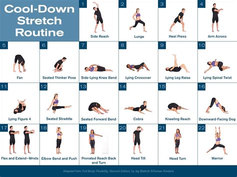Cool-Down Stretch Routine | After workout stretches, Stretch routine, Cool down stretches