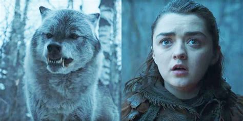 What Arya Stark Said to Nymeria the Direwolf on "Game of Thrones"