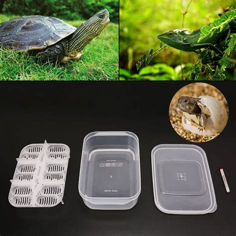 Aliexpress.com : Buy 2018 NEW Reptile Egg Incubator Tray With ...