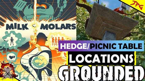 GROUNDED Mega Milk/ MILK MOLAR LOCATIONS GUIDE! The Hedge Area And Picnic Table - YouTube