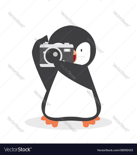 Cute penguin with a camera Royalty Free Vector Image