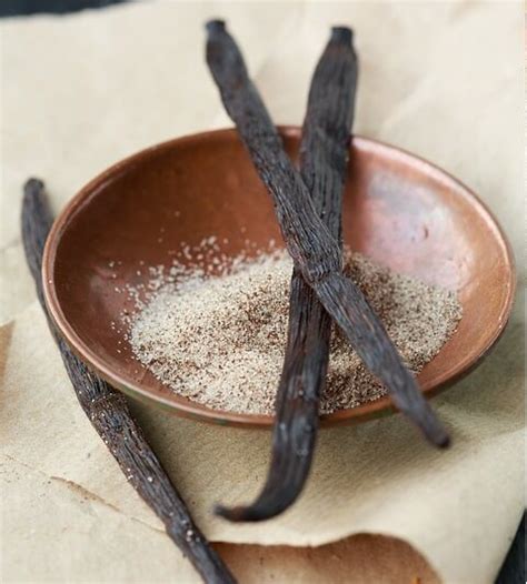 What to Do With Leftover Vanilla Bean Pods | Wilmington Catering Authority