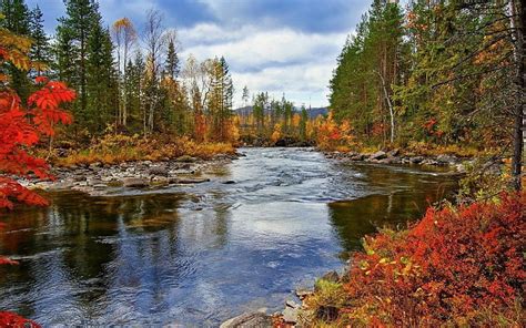 Autumn River, forest, river, autumn, scenery, HD wallpaper | Peakpx