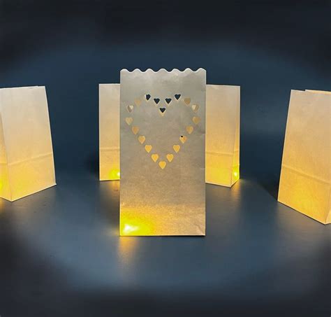 Light up Luminary Bags With LED Lights Included, 50pc of Mixed ...