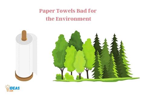 Are Paper Towels Bad For The Environment?