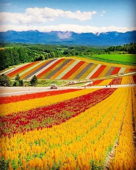 Panoramic Flower Gardens Shikisai-no-oka, Hokkaido, Japan in 2021 ...