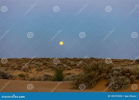 Cold night in the desert stock photo. Image of color - 149731920