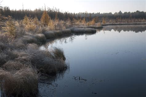 Lake Bemidji State Park | Explore Minnesota