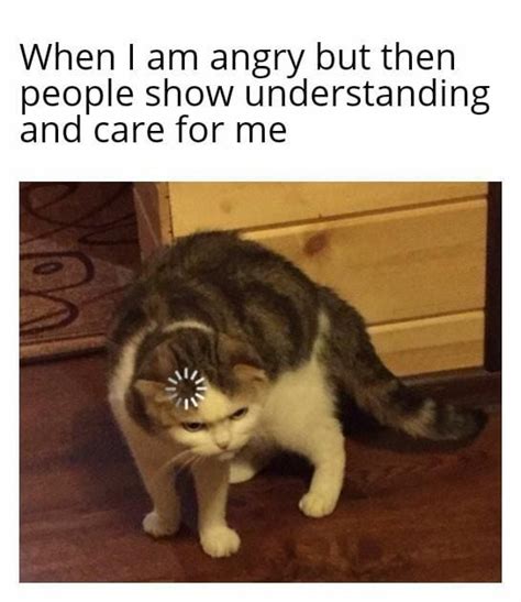 40 Bad Mood Memes for Everyone Who’s an Eternal Grump