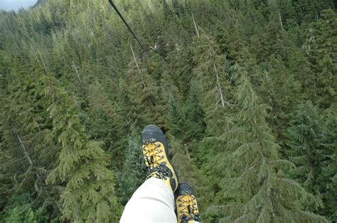 Go zip-lining in Alaska. Ketchikan Alaska, Zip Lining, Dream Vacations ...