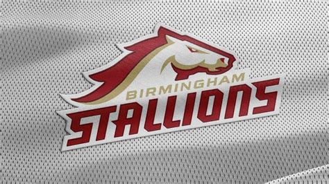 Birmingham Stallions | Sports templates, Template design, Football league