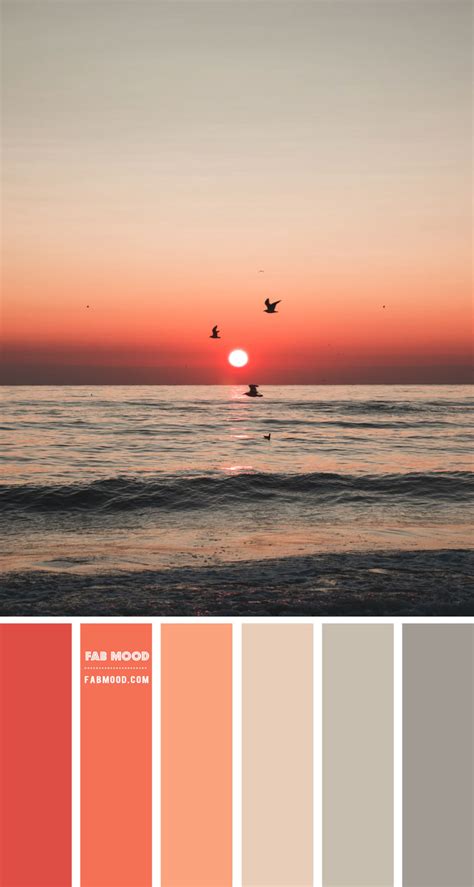 Coral and Sage Colour Scheme – Fab Mood Colour Palette