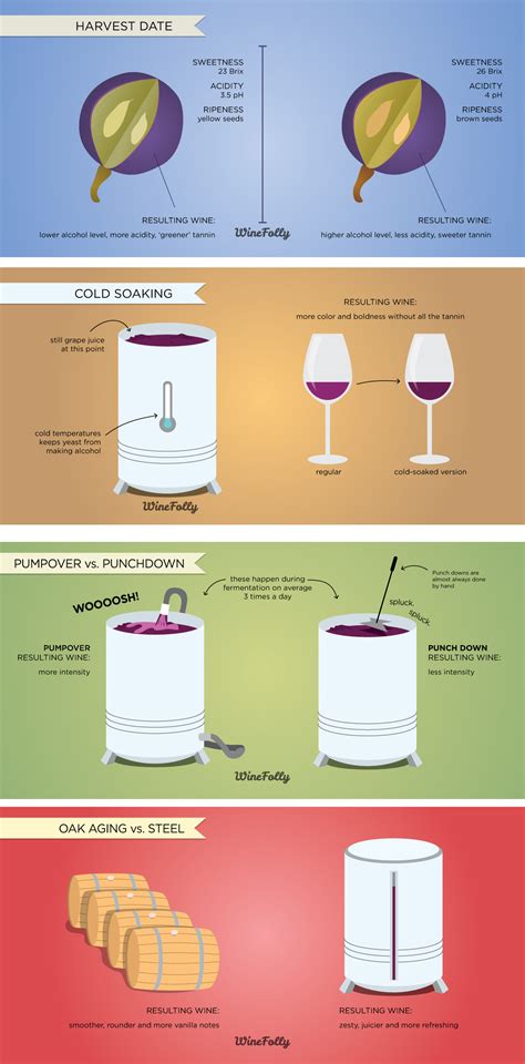 6 Wine Making Processes & How They Affect Wine