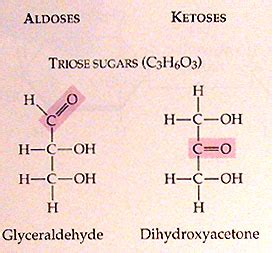 Carbohydrates